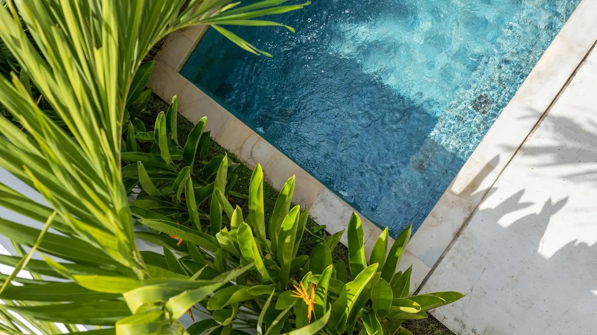 White Residence - Art & Boutique Villas Seminyak  Seminyak (Bali)